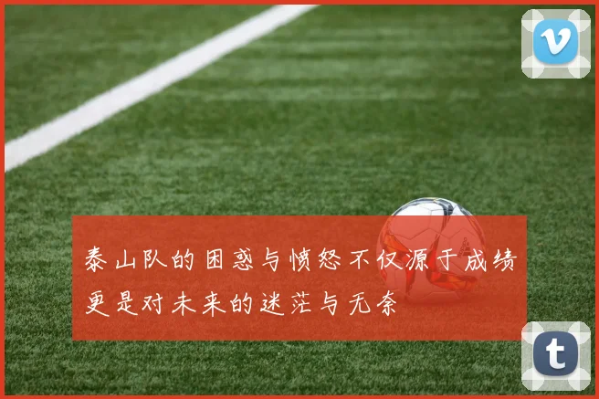 泰山队的困惑与愤怒不仅源于成绩更是对未来的迷茫与无奈